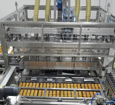 ABB Motor 220V Cream Injection Automatic Cake Production Line